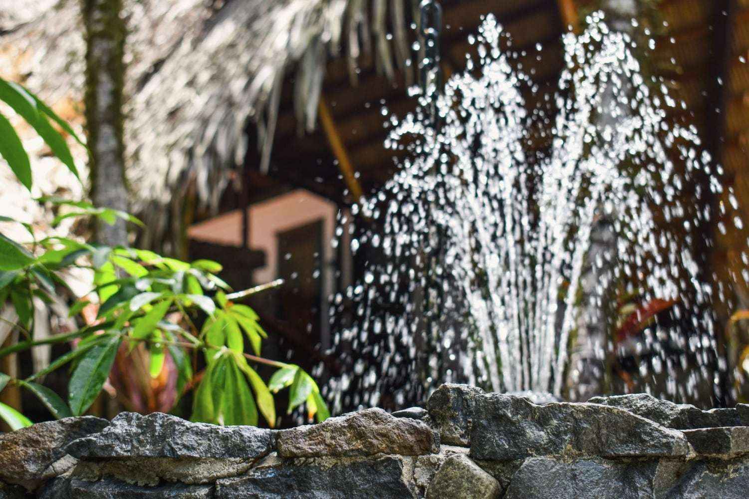 Fountain splashing above a stone wall in the garden, with the thatched rancho blurred behind