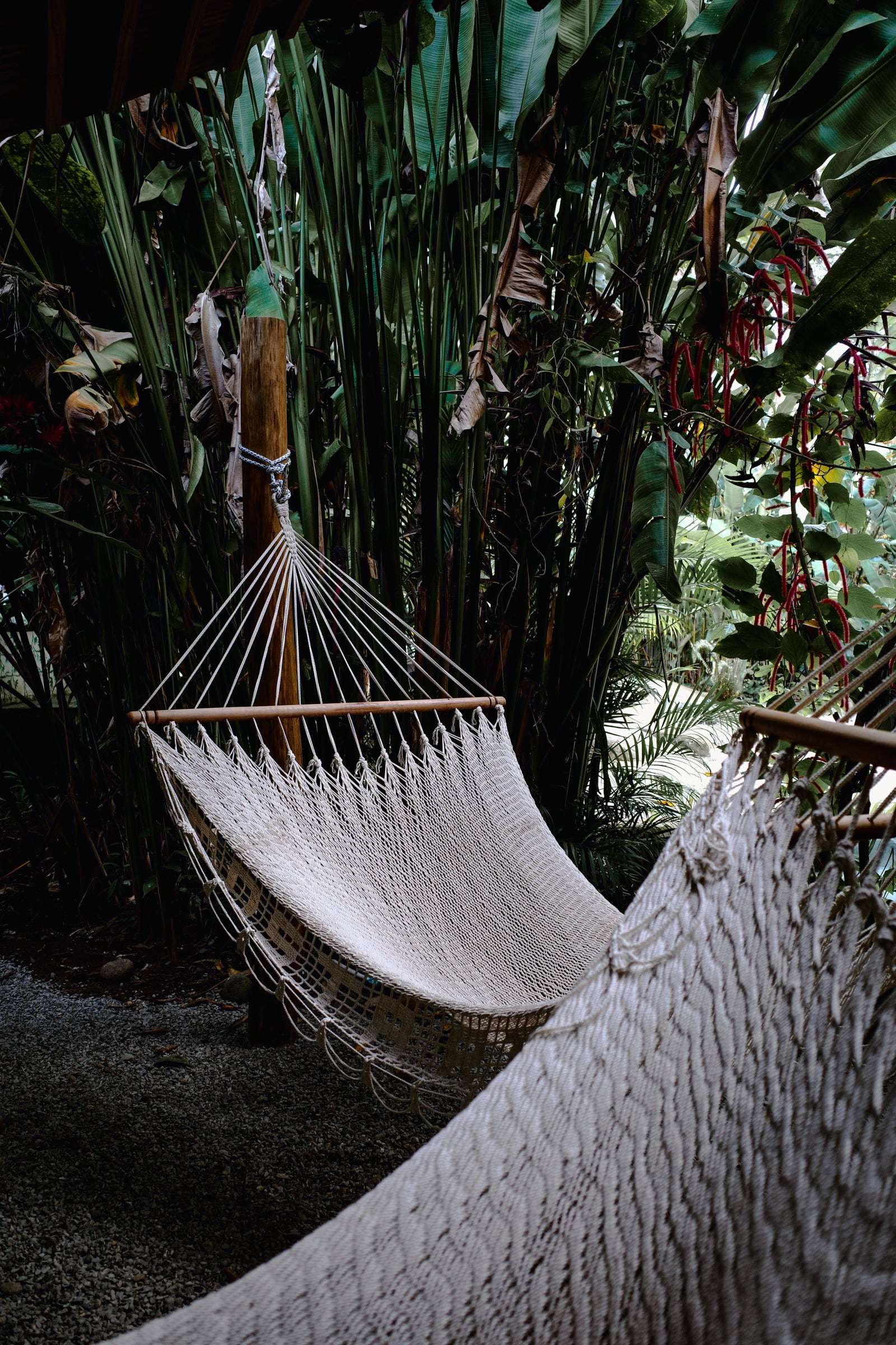 Two white macramé hammocks under banana leaves and red hanging heliconias